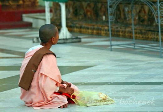 Shwedagon 13
