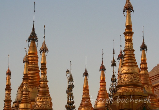 Shwedagon 16