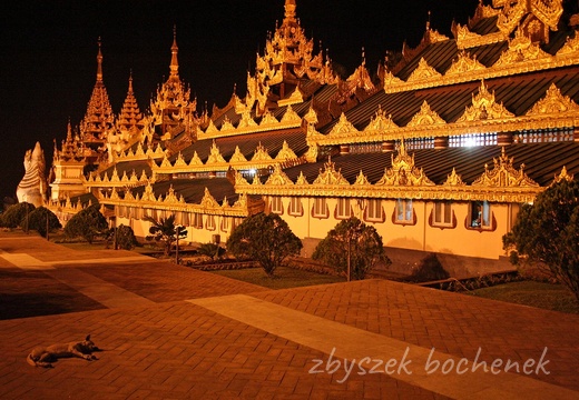 Shwedagon 40