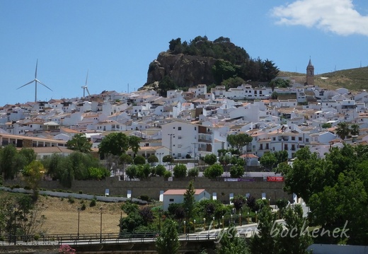 1309 Teba