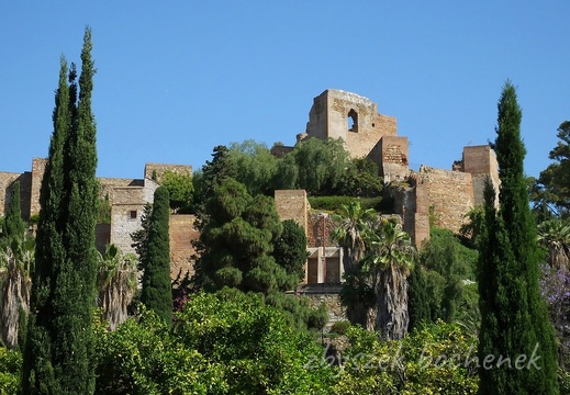 Malaga