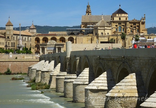 Cordoba