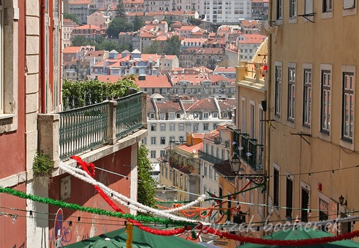 starówka 1