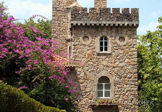 Quinta 09