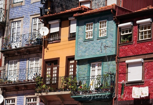 z ribeira 12