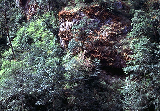 langtang 3