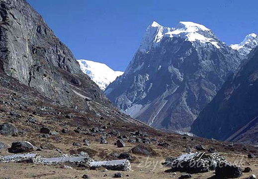 langtang 11
