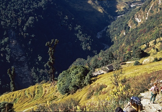 a 12